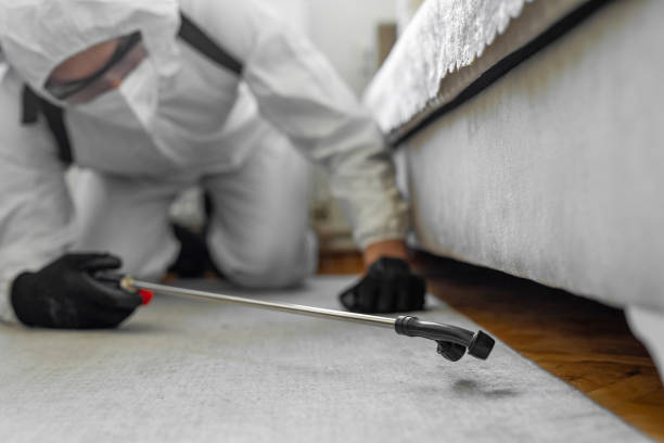 Professional Bed Bug Control technician working in Beaufort County County, SC